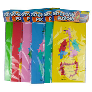 24 Pieces Per Pack Of Foam Anatomy Puzzle ][Wholesales Purchase | Hoodmat.Com
