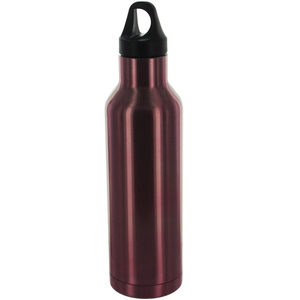 4 Pieces Per Pack Of Rose Metallic 20Oz Water Bottle ][Wholesales Purchase|Hoodmat.Com