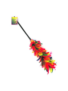 Feather Duster