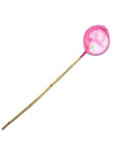 Butterfly catcher