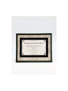 Document and certificate frame