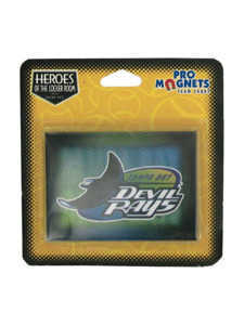 tampa bay devil rays mlb magnet