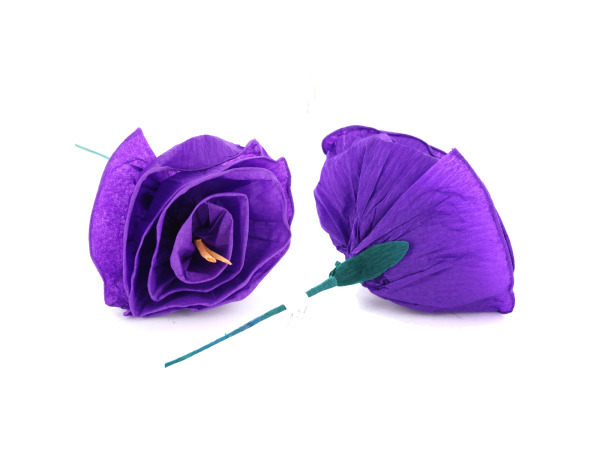 Purple Tissue Flowers