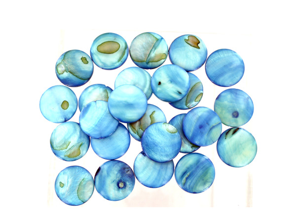 Turquoise Disk Freshwater Shell Beads