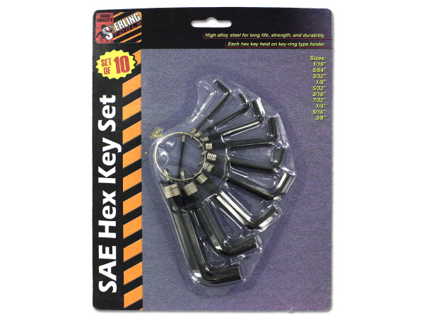 10 Piece sae hex key set