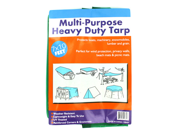 Multi-purpose tarp