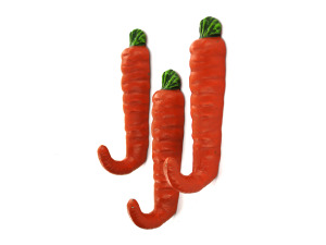 Painted metal carrot hooks