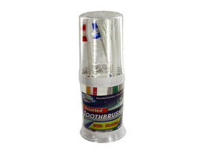 Toothbrush holder with toothbrushes
