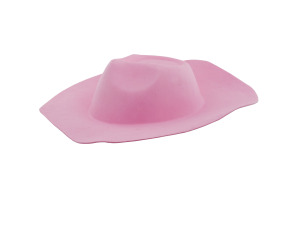 cowgirl hat asst