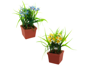 flowers in sqr pot asst