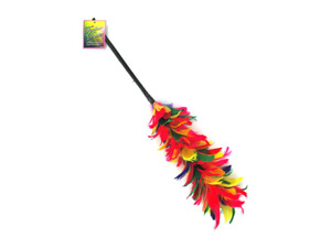 Feather Duster