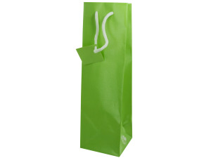 bottle gift bag mint