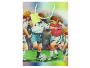 Sports themed gift bags, assorted designs, large size