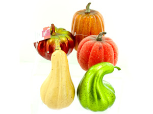 Pumpkin and Squash Assorted Decor