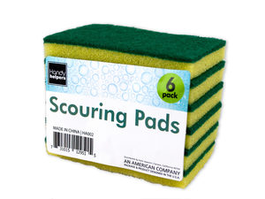 Sponge with scouring pads