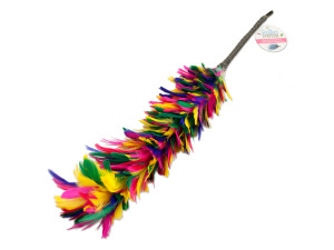 Feather duster