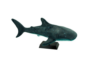 ceramic shark 37492