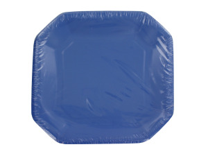 Blue paper plates, pack of 12