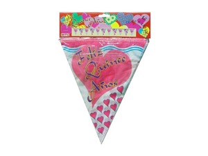 Feliz Quince Anos 15th birthday banner
