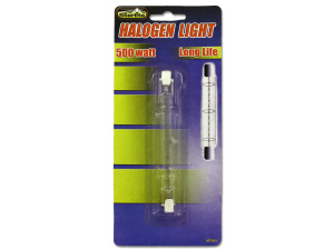 500 Watt halogen light