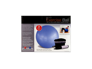 Exercise ball with pump