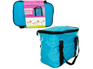insulated cooler lunch bag assorted colors