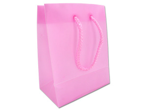 Small pink poly gift bag