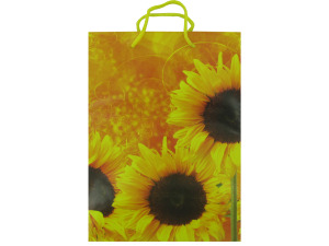 Floral gift bags, assorted designs