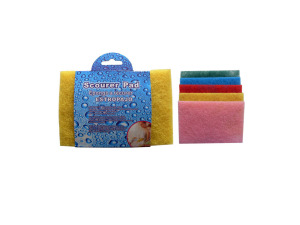 10 pack scouring pads
