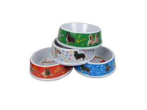 Melamine pet bowl with assorted bright designs