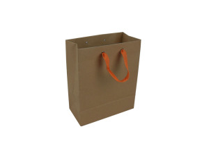 Kraft gift bag with ribbon handles