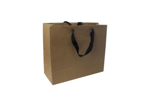 Large kraft gift bag