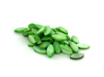 17MM Td Green Fw Shell Dbl Cone Beads