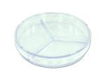 12 Petri Dishes