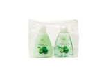 2pc. travel pack - body wash & body lotion - apple