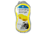 Expanding sponge