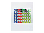 caption photo stickers (assorted captions)