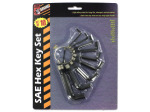 10 Piece sae hex key set