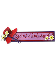 WONDERFUL SIGN 85/487 X1