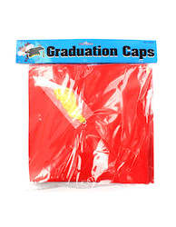 12PK CRAG CAPS 38/33-P X1