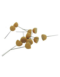 12PK WTCH WARTS 25/5292X1