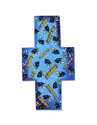12PK CARD HLDR 38/270 X1
