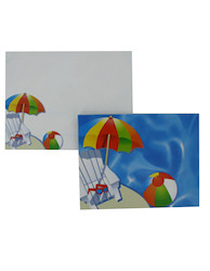 NOTECARDS/ENV 43/31267 X1