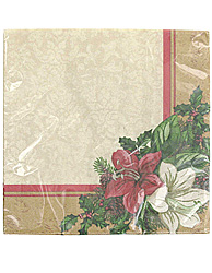amaryllis 20ct wln