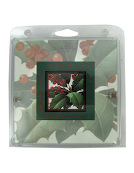 HOLLY FRAMED PRINT 5X5 X1