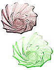 Click picture to enlarge