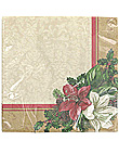 amaryllis 20ct wln